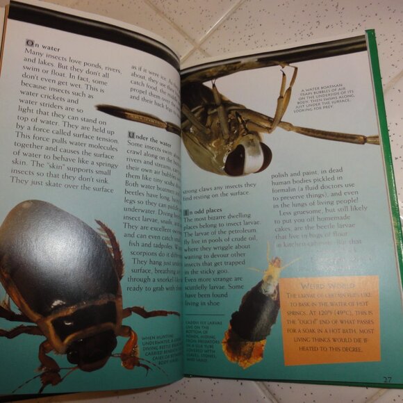 Vintage Secret Worlds Bugs A Close Up View of the Insect World Hardcover Book - Picture 16 of 16